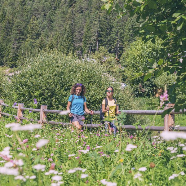 Passeggiata | © Patricia Ramirez  - Archivio Immagini ApT Val di Fassa Passeggiata in fondovalle in Val di Fassa | © Patricia Ramirez  - Archivio Immagini ApT Val di Fassa